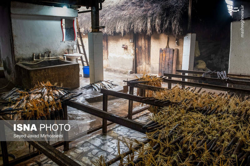 عکس/ دودی کردن ماهی به روش سنتی