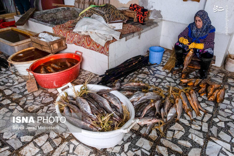 عکس/ دودی کردن ماهی به روش سنتی
