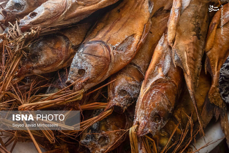 عکس/ دودی کردن ماهی به روش سنتی