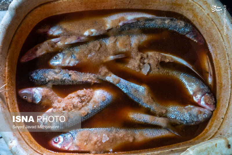 عکس/ دودی کردن ماهی به روش سنتی