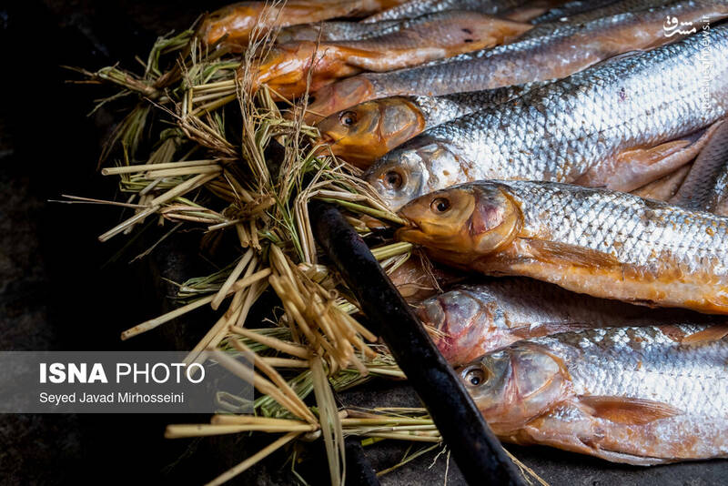 عکس/ دودی کردن ماهی به روش سنتی