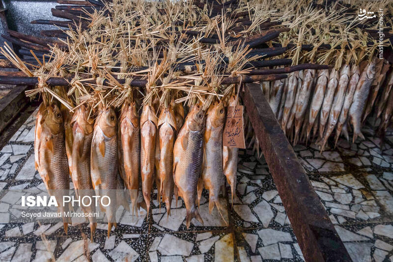 عکس/ دودی کردن ماهی به روش سنتی