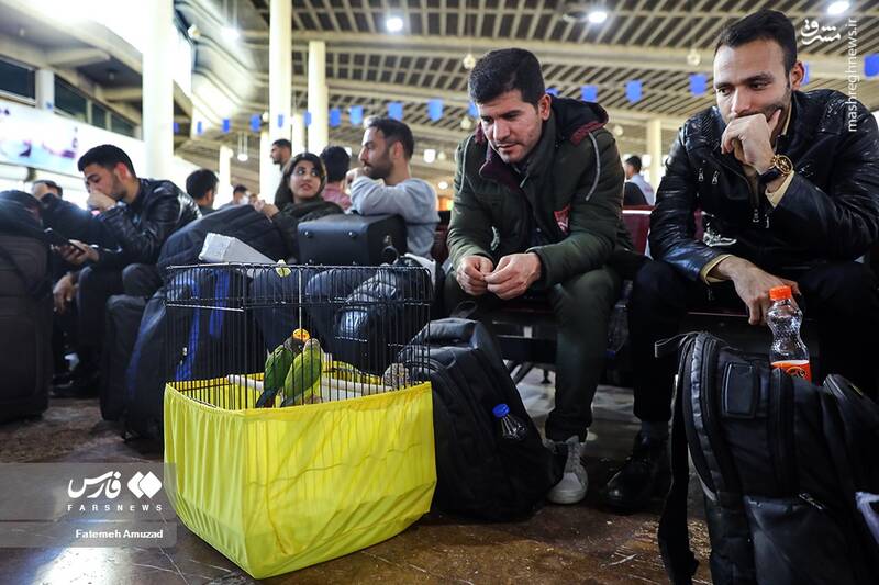 عکس/ آغاز پیک اول سفرهای نوروزی در کشور