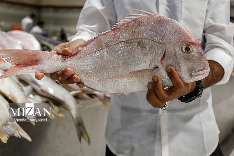 عکس/ بازار ماهی فروشهای کیش