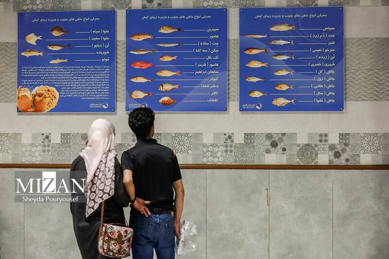 عکس/ بازار ماهی فروشهای کیش