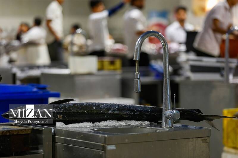 عکس/ بازار ماهی فروشهای کیش