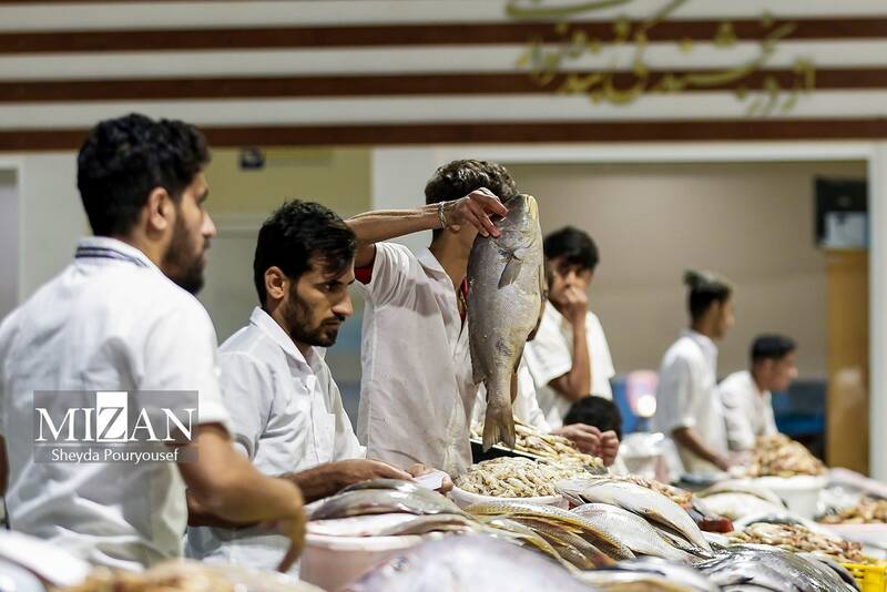 عکس/ بازار ماهی فروشهای کیش