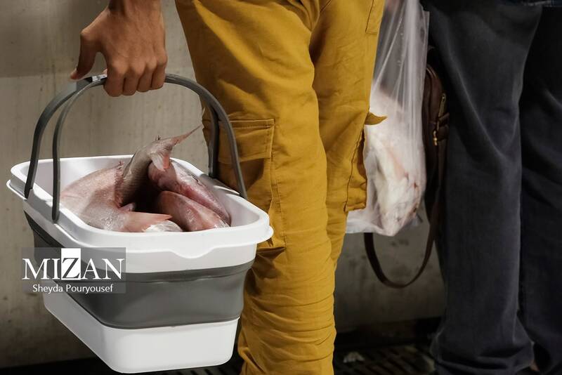 عکس/ بازار ماهی فروشهای کیش