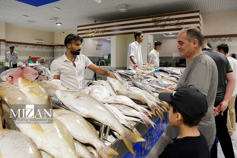 عکس/ بازار ماهی فروشهای کیش