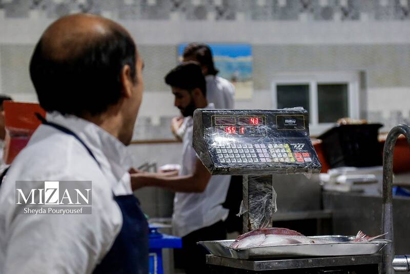 عکس/ بازار ماهی فروشهای کیش