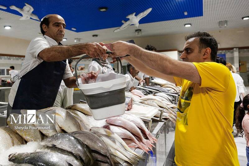 عکس/ بازار ماهی فروشهای کیش