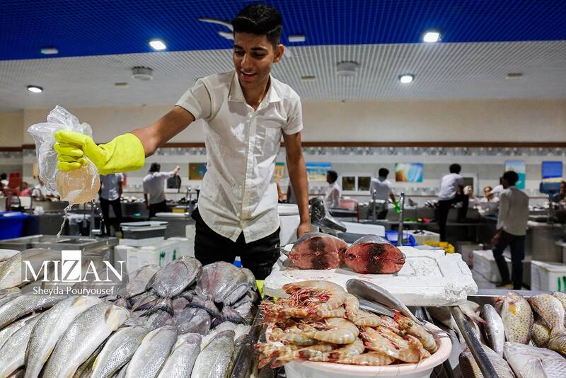عکس/ بازار ماهی فروشهای کیش