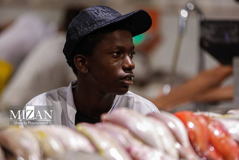 عکس/ بازار ماهی فروشهای کیش