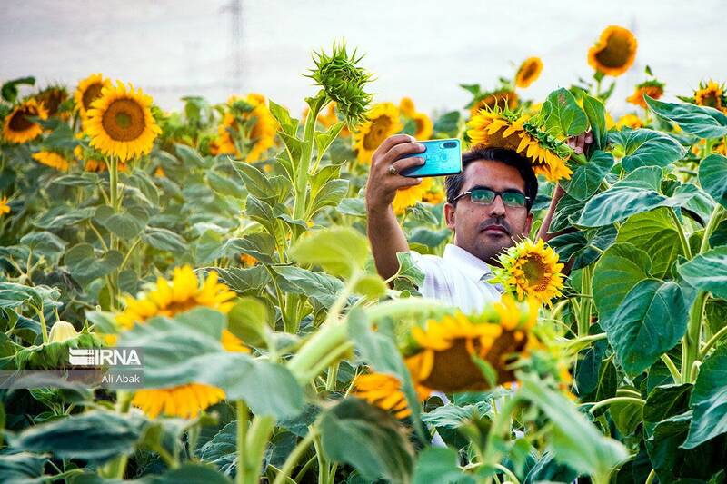 عکس / تصاویری از سمنان در ایام نوروز