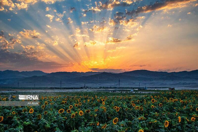 عکس / تصاویری از سمنان در ایام نوروز