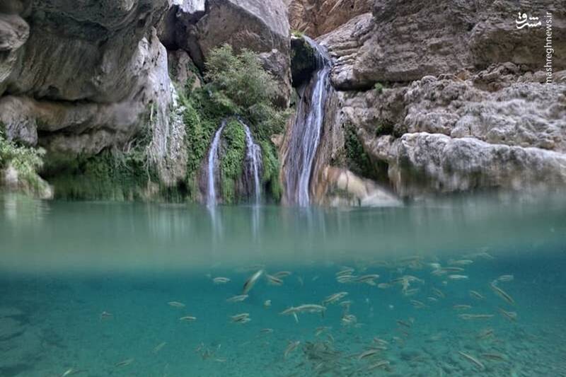 آشنایی با عروس درههای فارس +تصاویر