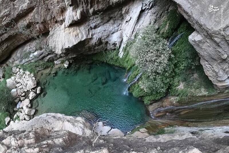 آشنایی با عروس درههای فارس +تصاویر