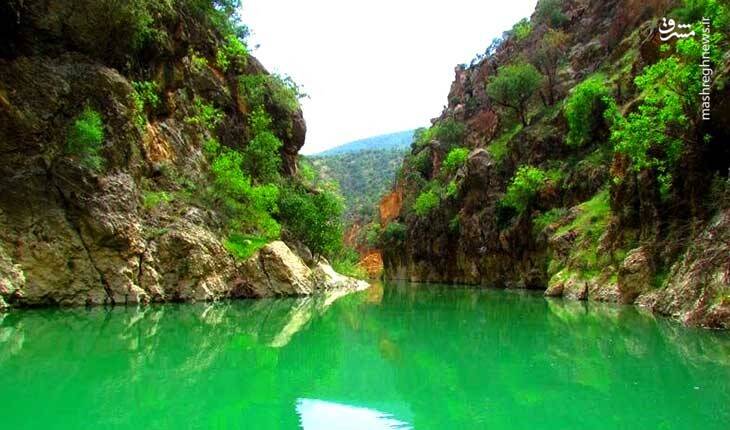 اتفاقی نادر که دم اسب را به وجود آورد! +تصاویر
