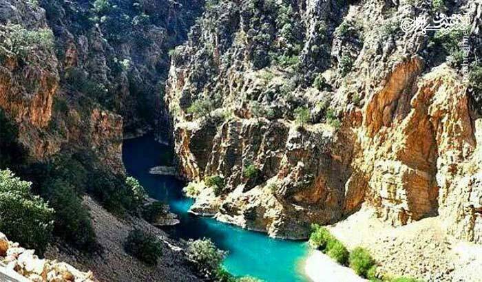 اتفاقی نادر که دم اسب را به وجود آورد! +تصاویر