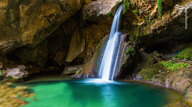 اتفاقی نادر که دم اسب را به وجود آورد! +تصاویر