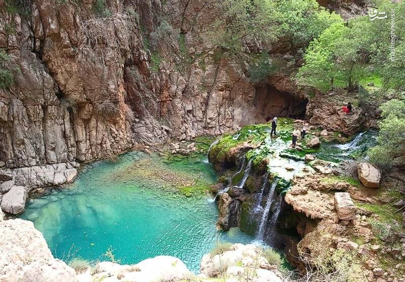 اتفاقی نادر که دم اسب را به وجود آورد! +تصاویر