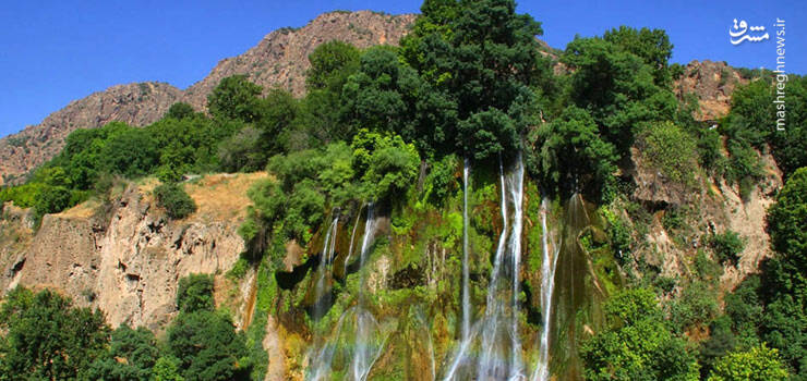 اتفاقی نادر که دم اسب را به وجود آورد! +تصاویر