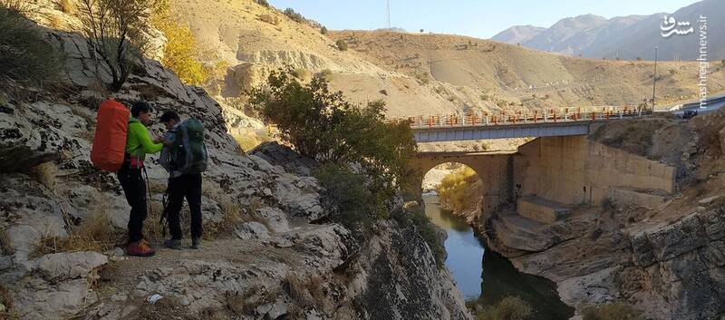 اتفاقی نادر که دم اسب را به وجود آورد! +تصاویر