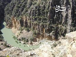 اتفاقی نادر که دم اسب را به وجود آورد! +تصاویر