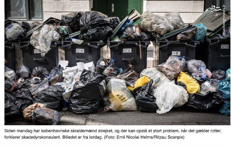 انباشته شدن صد ها تُن زباله در خیابانهای کپنهاگ+ عکس