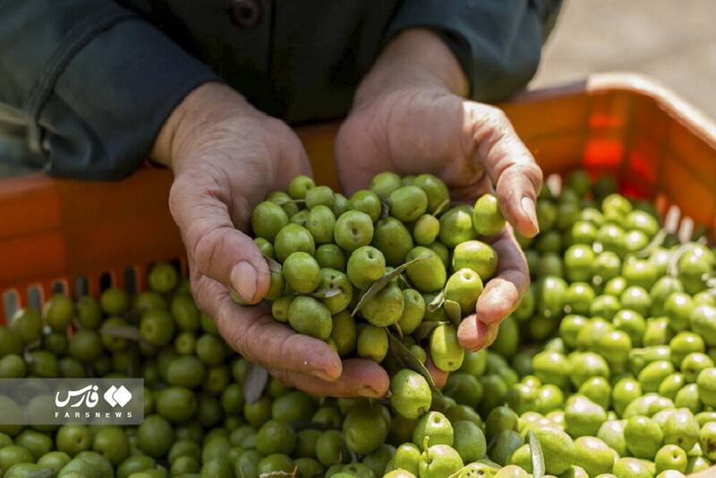 بهشت گمشده ایران کجاست؟+ عکس