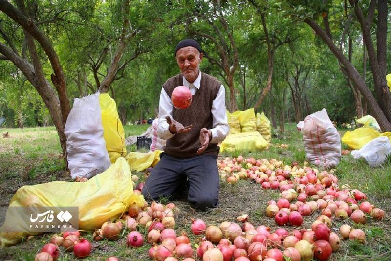 بهشت گمشده ایران کجاست؟+ عکس