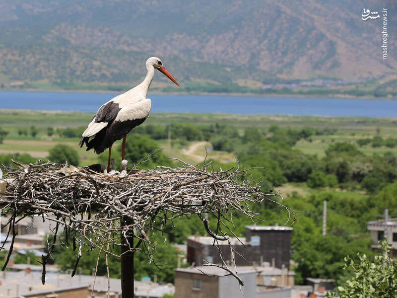 شهری افسانهای در دل آب +تصاویر