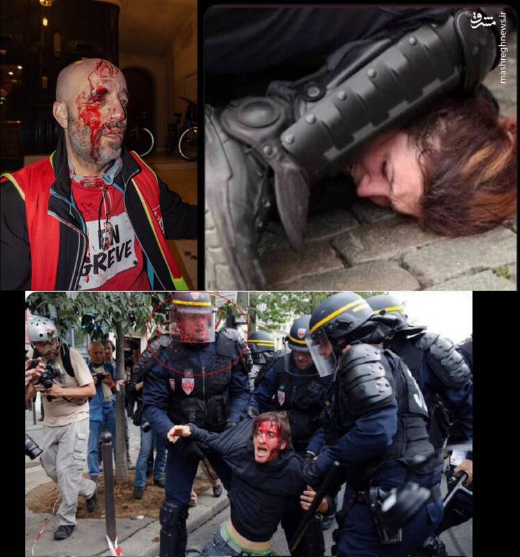 دلم میسوزه برای فرانسه که شروین نداره براشون بخونه+ عکس