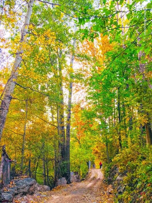 سفر به روستای شکوفه باران در نزدیکی تهران +تصاویر