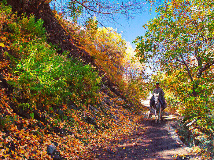 سفر به روستای شکوفه باران در نزدیکی تهران +تصاویر