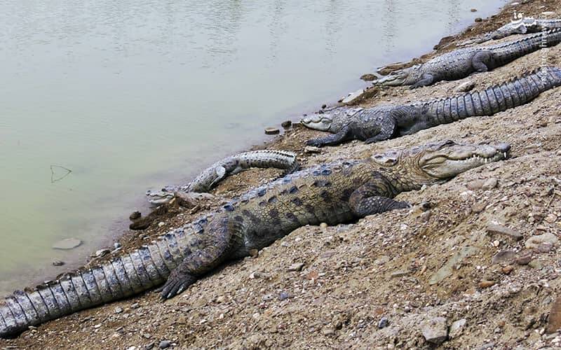 آشنایی با تالاب صورتی و گورستان جن +تصاویر