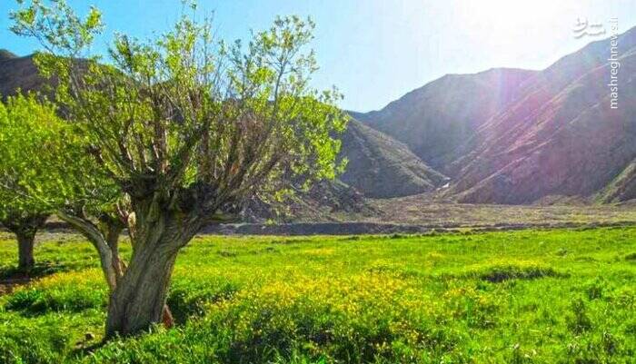 مناظر کارت پستالی در نزدیکی تهران +تصاویر