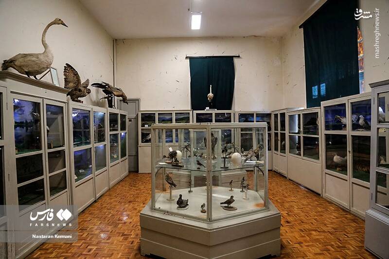 عکس/ "موزه جانور شناسی" کرج