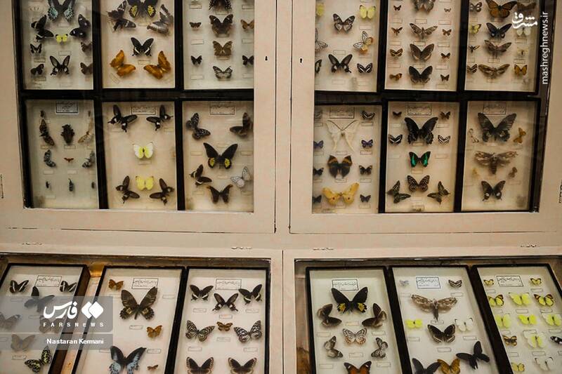 عکس/ "موزه جانور شناسی" کرج
