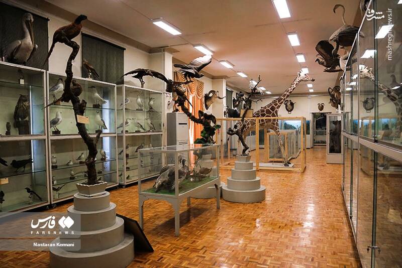 عکس/ "موزه جانور شناسی" کرج