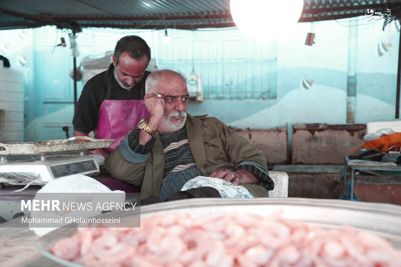 عکس/ بازار ماهی فروشان بوشهر