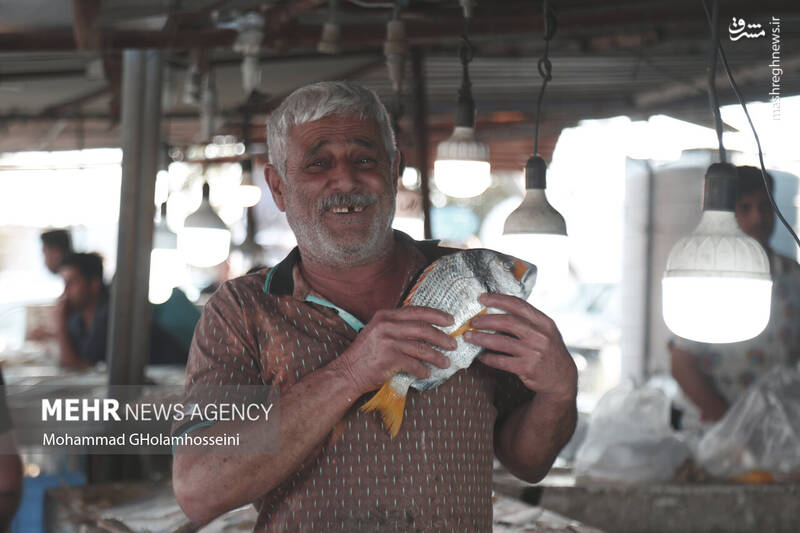 عکس/ بازار ماهی فروشان بوشهر