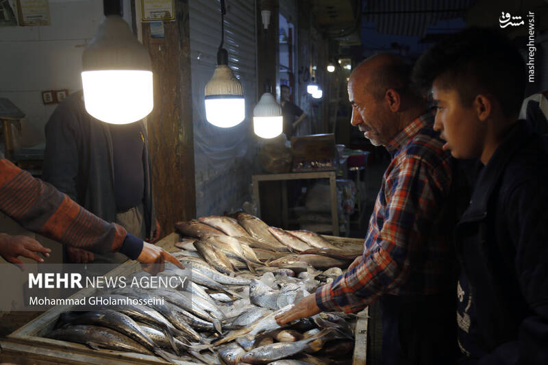 عکس/ بازار ماهی فروشان بوشهر