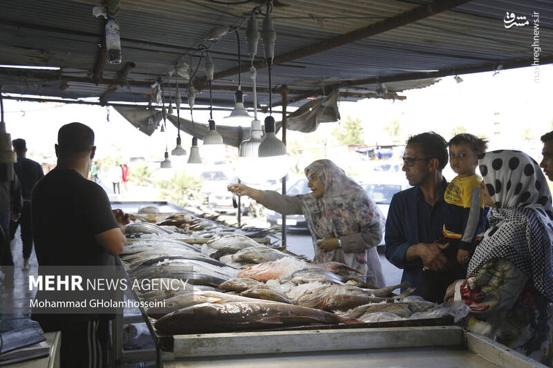 عکس/ بازار ماهی فروشان بوشهر