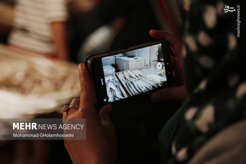 عکس/ بازار ماهی فروشان بوشهر