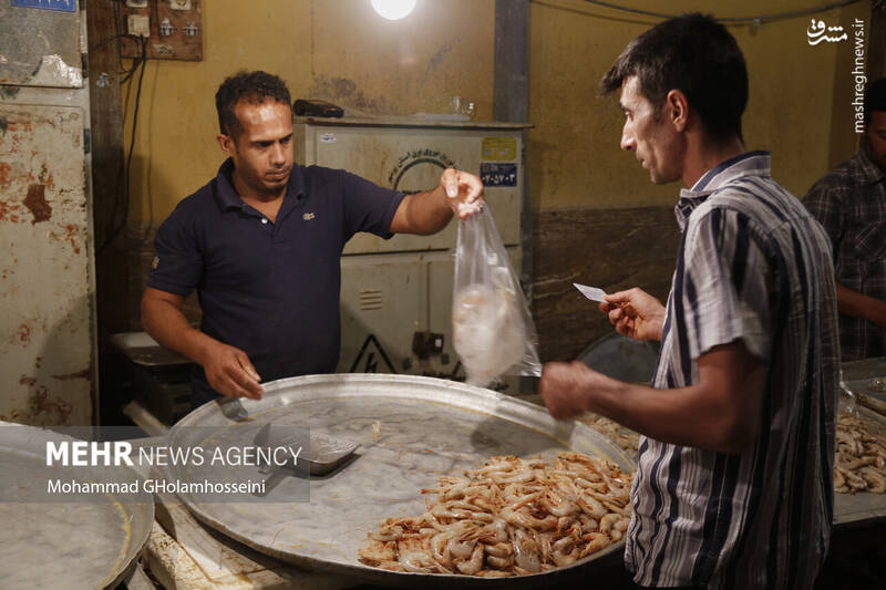 عکس/ بازار ماهی فروشان بوشهر