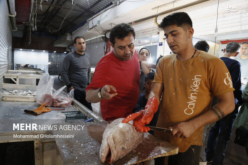 عکس/ بازار ماهی فروشان بوشهر