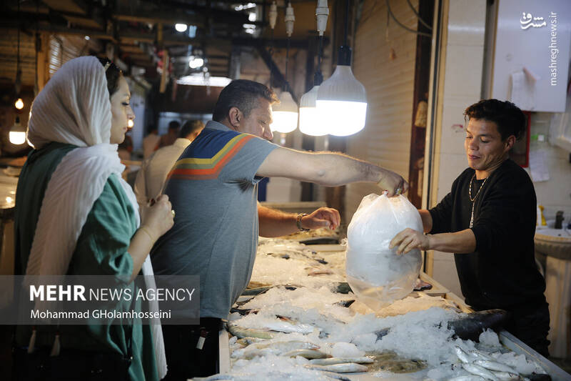 عکس/ بازار ماهی فروشان بوشهر