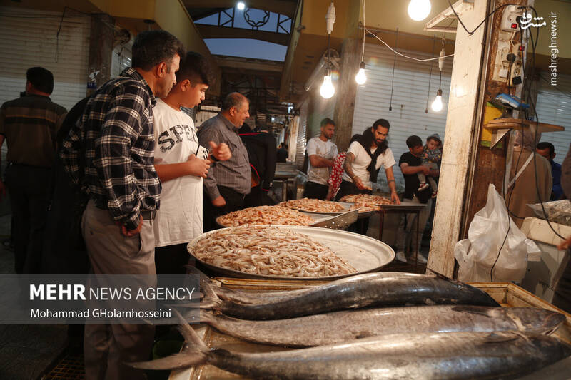 عکس/ بازار ماهی فروشان بوشهر