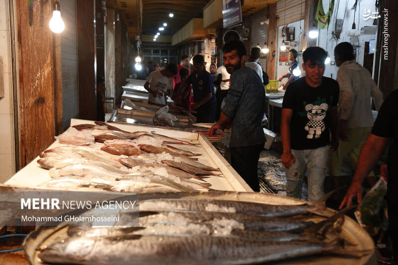 عکس/ بازار ماهی فروشان بوشهر
